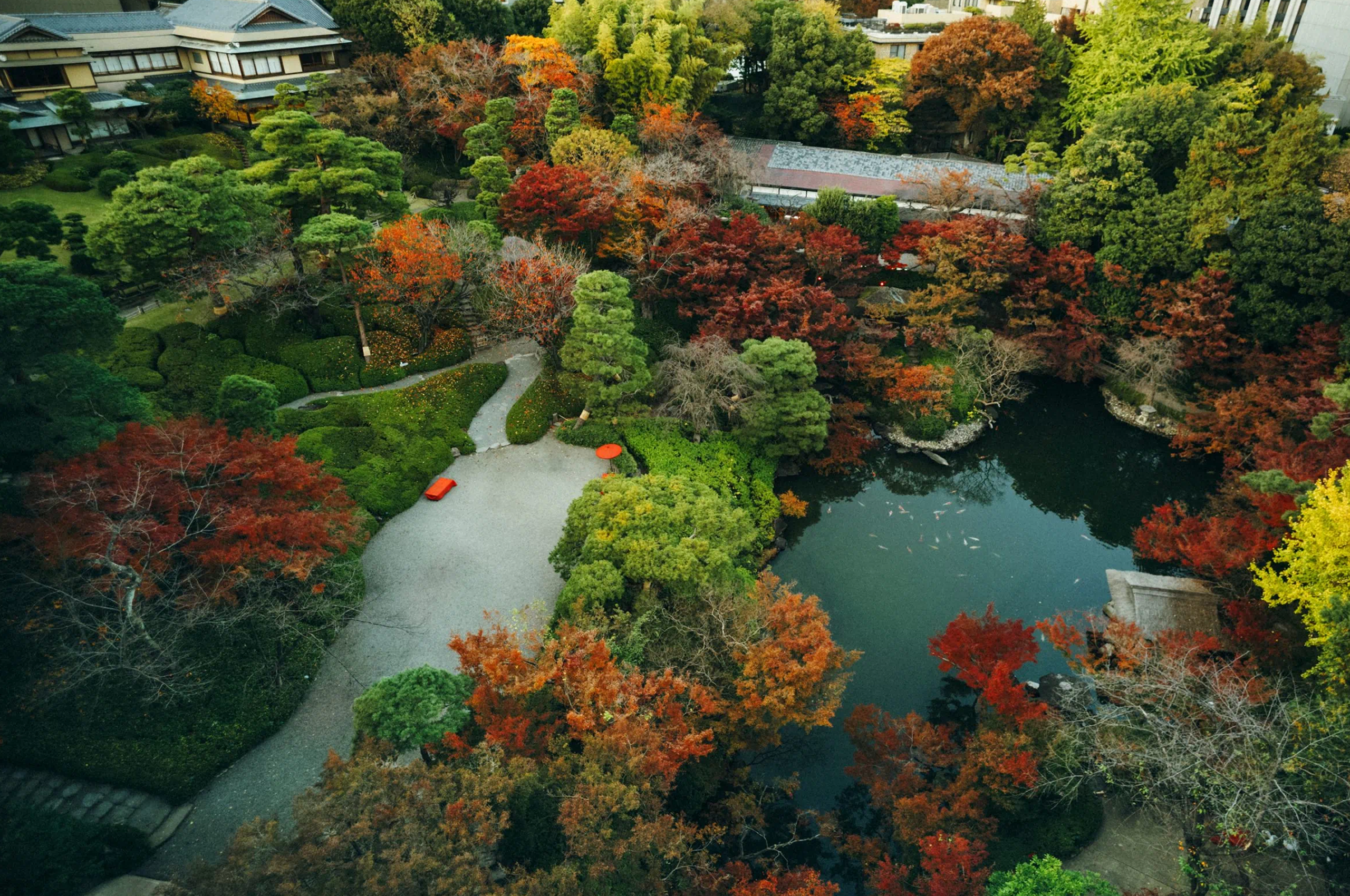 The Institute of Actuaries of Japan